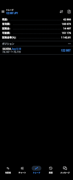 シルバー　決済